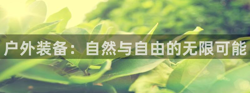 新宝gg网娱乐