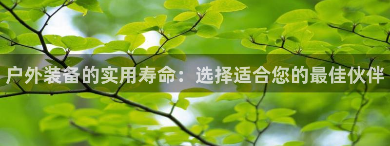 新宝gg 登陆