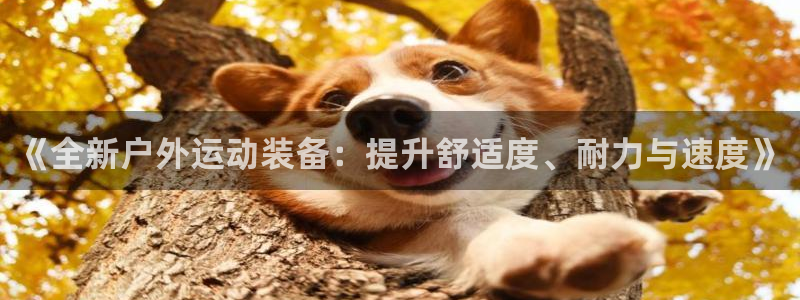 新宝gg赚钱