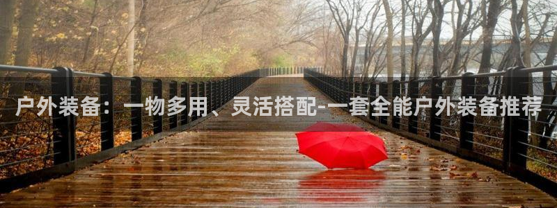 新宝gg入口网址