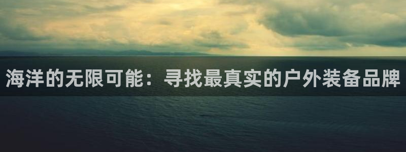 新宝gg总代理