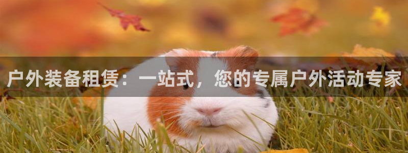 新宝gg cqdellar