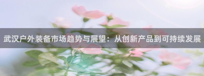 新宝gg属于