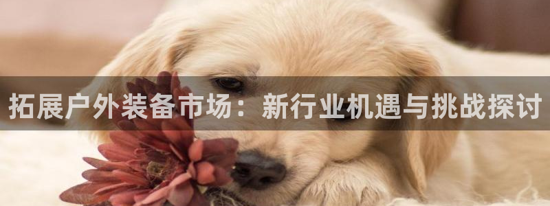 新宝gg吧