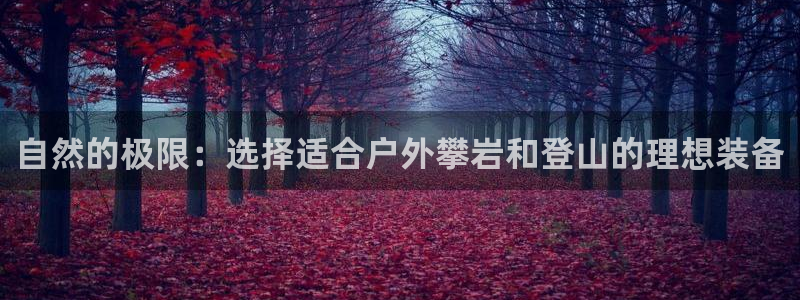 新宝gg如何代理