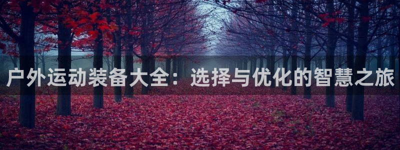 新宝gg官方主管