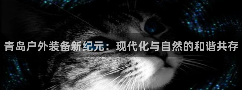 新宝gg平台下载安装