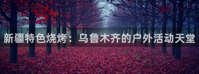 新宝gg网站