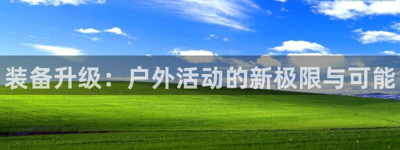 新宝gg平