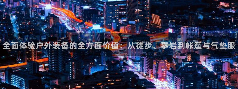 新宝 gg 总代理