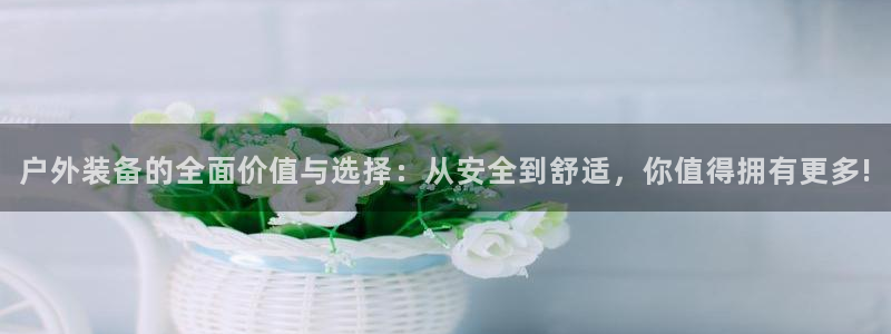 新宝gg平台反水