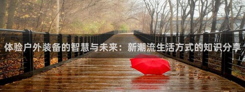关于新宝GG