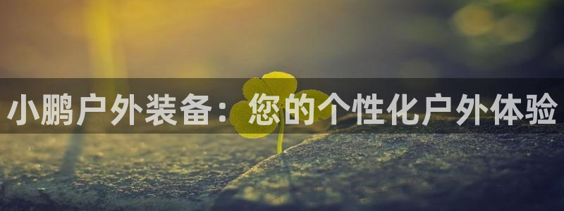 新浪新闻新宝gg