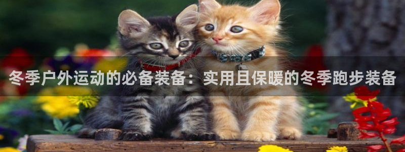 新宝gg奖金