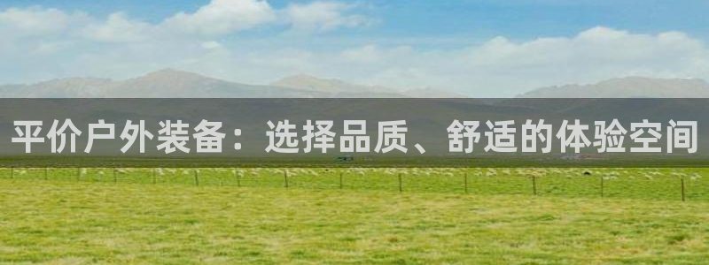 网站是新宝gg