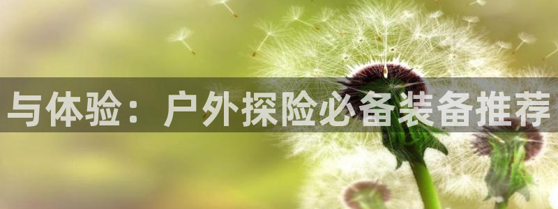 新宝gg怎么样