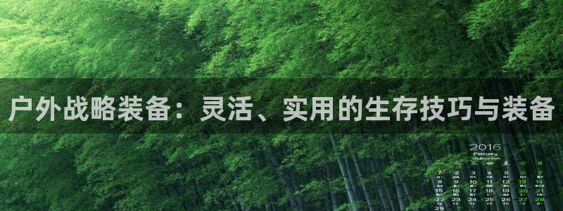 新宝gg 平台怎么样