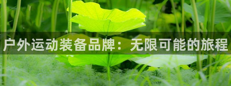 新宝gg cqdellar