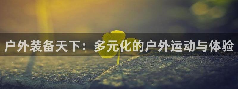 新宝gg软件下载