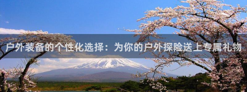 新宝gg帐号注册