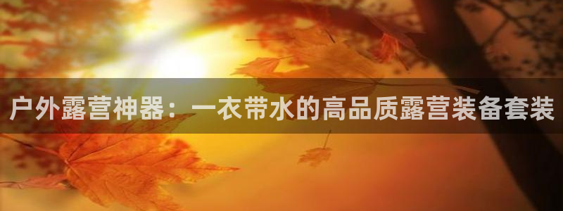 新宝gg平台登录