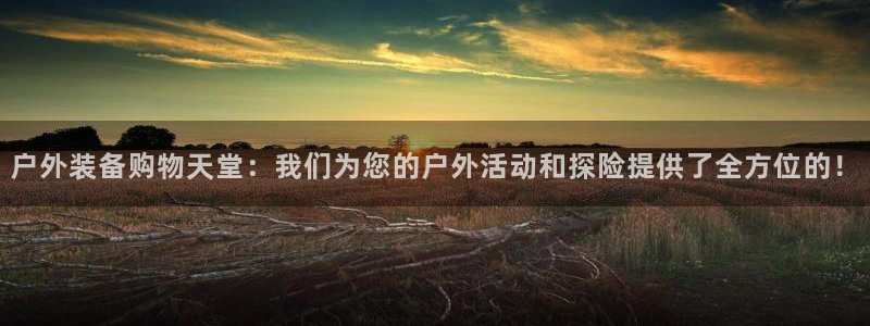 新宝gg娱乐平台