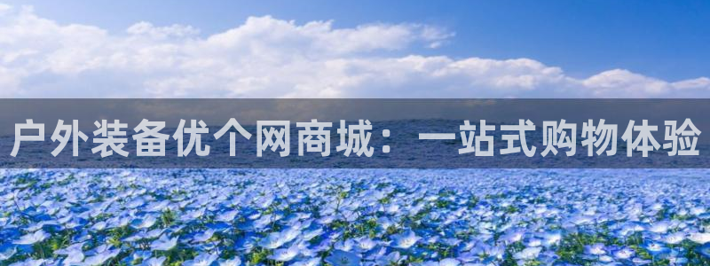 新宝gg娱乐盟主