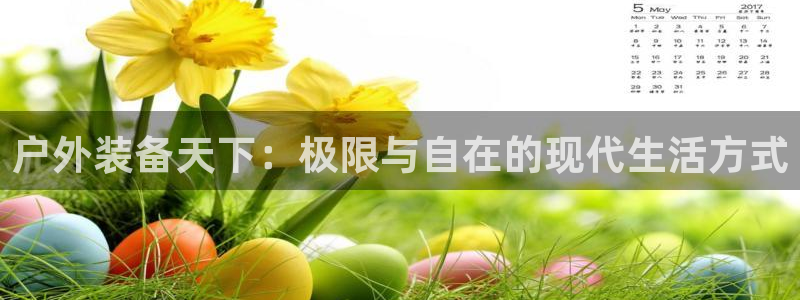 新宝gg创造奇迹