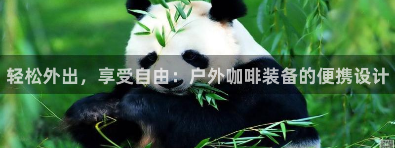 新宝gg注册 776317