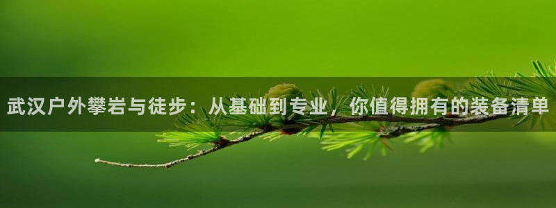 新宝gg怎么开户