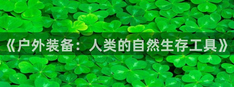 新宝gg主管都是谁