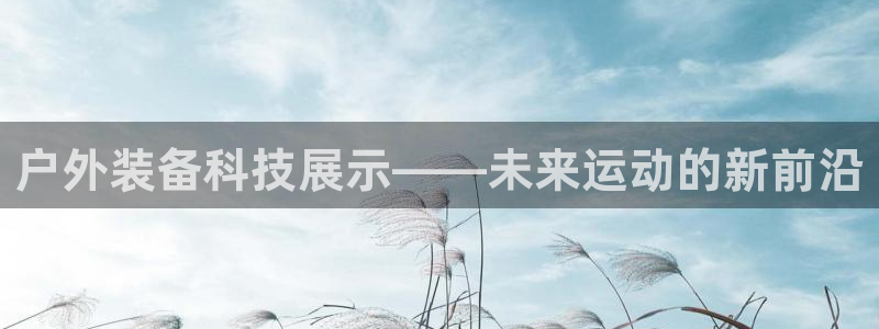 新宝gg平台q891465