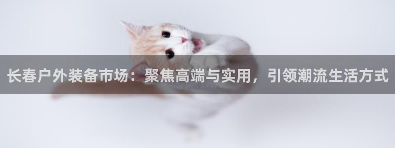 新宝gg平台q891465