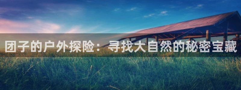 新宝 gg 登录注册