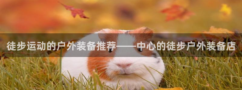 新宝gg帐号注册