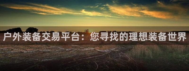 新宝gg6娱乐注册网址