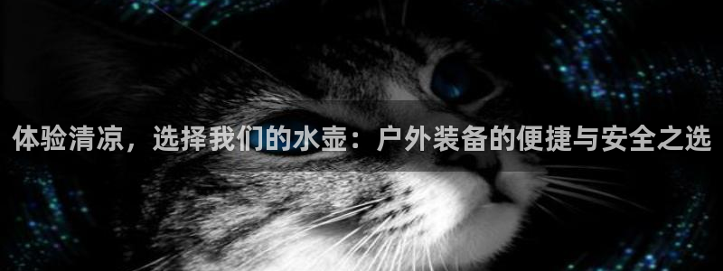 新宝gg金砖彩票