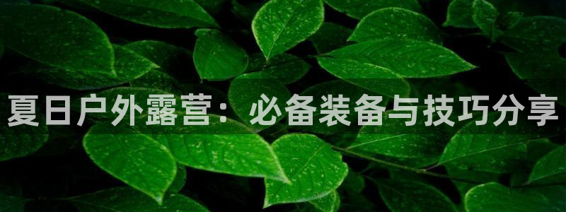 新宝gg官网登录找代理