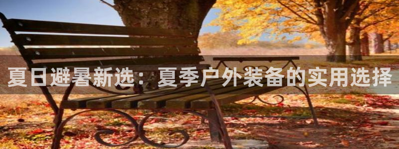 新宝gg手机登录官网