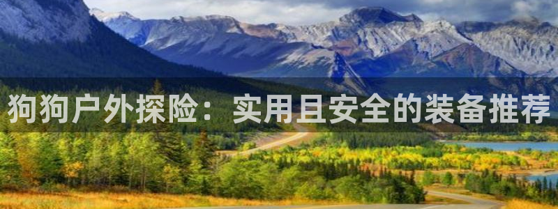 新宝GG专业团队