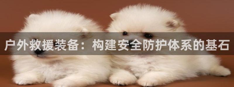 新宝gg创造奇迹下载