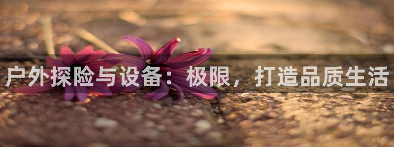 新宝gg6娱乐注册网址